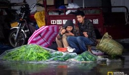 青州古街吃瓜视频,美食之旅尽享人间烟火