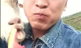 杰哥吃瓜大佬是谁啊视频,网络红人的崛起之路