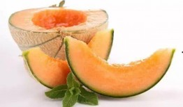 吃哈密瓜视频大全可爱,可爱吃瓜瞬间大盘点