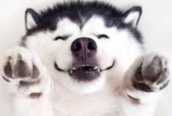 吃瓜群众能看吗视频大全,热门视频背后的故事与真相