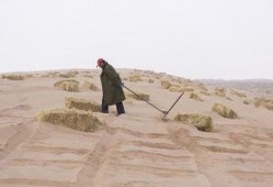 一粒沙子吃瓜视频在线看,揭秘网络热点的背后故事