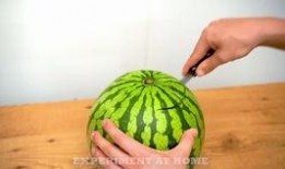 青海最新吃瓜视频免费看,免费观看最新吃瓜视频，揭秘热点事件