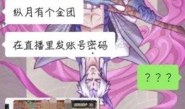 剑网3吃瓜现场视频,揭秘游戏圈幕后风云