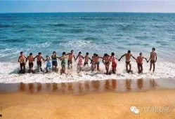 海边游泳吃瓜视频,游泳吃瓜，畅享欢乐时光