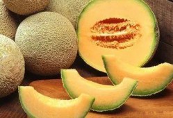 吃哈密瓜能瘦肚子吗视频,揭秘吃哈密瓜瘦肚子的神奇效果