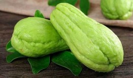 茄瓜吃有什么功效呢视频,茄瓜吃有什么功效？揭秘健康益处一览
