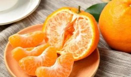 桔瓜能蒸着吃么吗视频教程