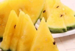 哪里可以卖吃瓜视频,吃瓜视频的神秘市场，揭秘热门平台与盈利之道