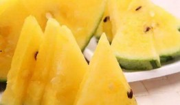 哪里可以卖吃瓜视频,吃瓜视频的神秘市场，揭秘热门平台与盈利之道