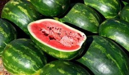 青海最新吃瓜视频免费看,免费观看最新吃瓜视频，揭秘热点事件