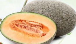 吃哈密瓜视频大全可爱,可爱吃瓜瞬间大盘点