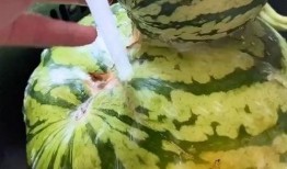 寝室吃瓜搞笑视频大全,笑料横飞欢乐无限