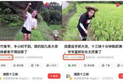 秧田吃瓜怎么拍照好看视频,捕捉夏日瓜田摄影美学