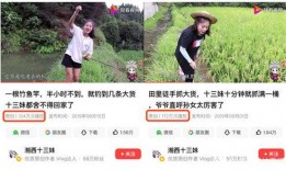 秧田吃瓜怎么拍照好看视频,捕捉夏日瓜田摄影美学