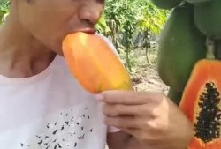 每日一水吃瓜的视频,揭秘吃瓜群众的快乐源泉