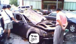 吃瓜猜车视频完整版,视频完整版带你领略汽车世界的趣味与智慧