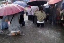 广州暴雨吃瓜视频曝光,街头奇观瞬间走红