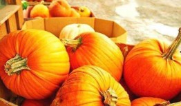 南瓜妞吃瓜视频大全,趣味横生的瓜界盛宴