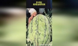 吃瓜搞怪配音素材视频大全,吃瓜搞怪素材视频大盘点