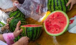 吃瓜包浆视频在线观看,在线观看视频带你领略美食魅力