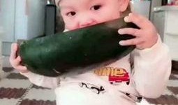 两个宝宝吃瓜视频大全,宝宝吃瓜视频合集欢乐放送