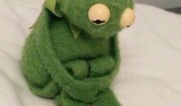 呆萌的青蛙吃瓜视频,萌态十足引网友爆笑