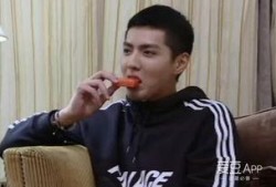 吃瓜视频吴亦凡,揭秘娱乐圈背后的真相