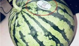 8424吃瓜视频,揭秘娱乐圈幕后故事