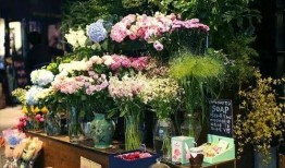 河北吃瓜事件花店视频,花店视频揭示惊人一幕