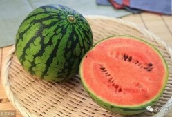 砍瓜也能放老了吃吗视频,揭秘如何让砍瓜放久不坏