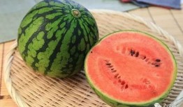 砍瓜也能放老了吃吗视频,揭秘如何让砍瓜放久不坏