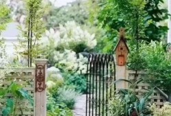 乡下小院吃瓜视频大全,小院吃瓜视频大盘点