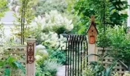 乡下小院吃瓜视频大全,小院吃瓜视频大盘点