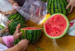 吃瓜大队视频,一场网络视频的狂欢盛宴