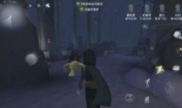 吃瓜解说视频第五人格,吃瓜解说，揭秘游戏背后的精彩故事