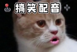 吃瓜搞笑沙雕视频大全,笑料横生！吃瓜搞笑沙雕视频大盘点