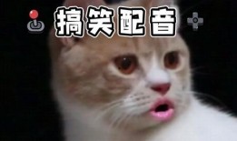 吃瓜搞笑沙雕视频大全,笑料横生！吃瓜搞笑沙雕视频大盘点