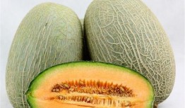 刘女士吃哈密瓜视频播放,视频播放引网友热议