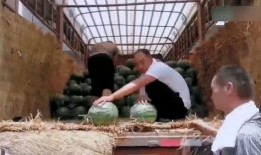 陕西杨凌吃瓜事件视频,一场网络热议的乡村奇观