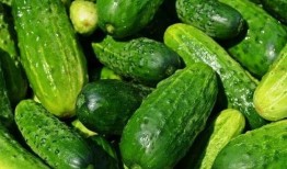 吃瓜系统满朝文武原视频,吃瓜系统带你领略古代宫廷风云