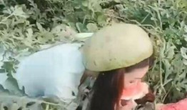 秧田吃瓜怎么拍照好看视频,捕捉夏日瓜田摄影美学