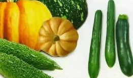 哪里可以卖吃瓜视频,吃瓜视频的神秘市场，揭秘热门平台与盈利之道